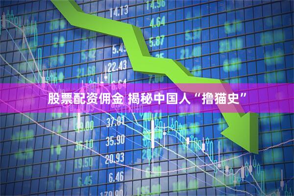 股票配资佣金 揭秘中国人“撸猫史”