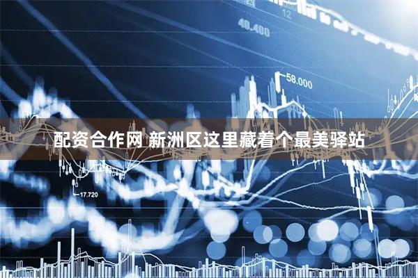 配资合作网 新洲区这里藏着个最美驿站