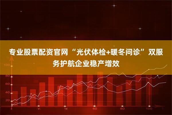 专业股票配资官网 “光伏体检+暖冬问诊” 双服务护航企业稳产增效