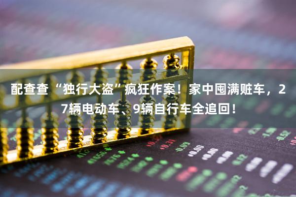 配查查 “独行大盗”疯狂作案！家中囤满赃车，27辆电动车、9辆自行车全追回！